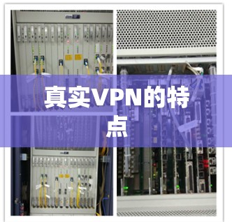 真实VPN的特点 真实VPN的特点