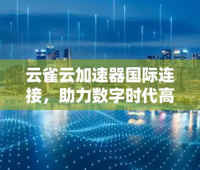 云雀云加速器国际连接，助力数字时代高效计算与数据处理