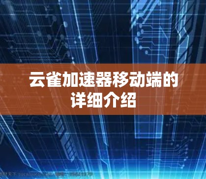 云雀加速器移动端的详细介绍