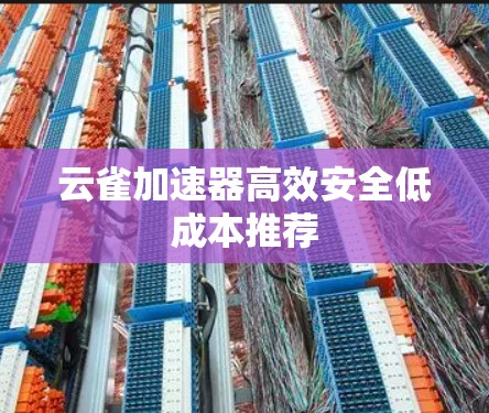 云雀加速器高效安全低成本推荐