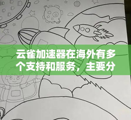 云雀加速器在海外有多个支持和服务，主要分为本地版、网络版和扩展型服务。以下是详细的分析和推荐