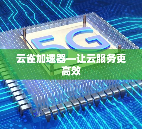 云雀加速器—让云服务更高效 云雀加速器—让云服务更高效