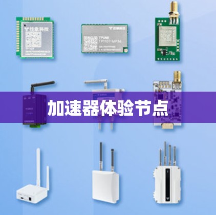 加速器体验节点