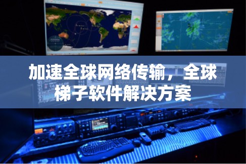 加速全球网络传输，全球梯子软件解决方案