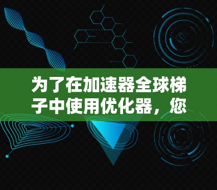 为了在加速器全球梯子中使用优化器，您可以按照以下步骤进行