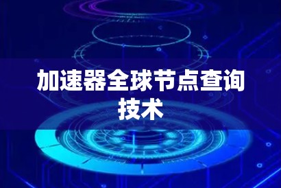 加速器全球节点查询技术