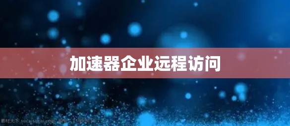 加速器企业远程访问 加速器企业远程访问
