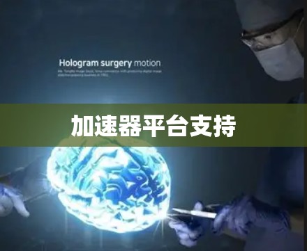 加速器平台支持