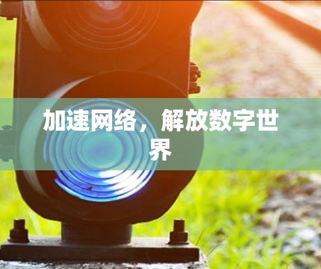 加速网络,解放数字世界 加速网络,解放数字世界