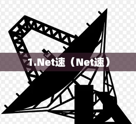 1.Net速(Net速) 1.Net速(Net速)