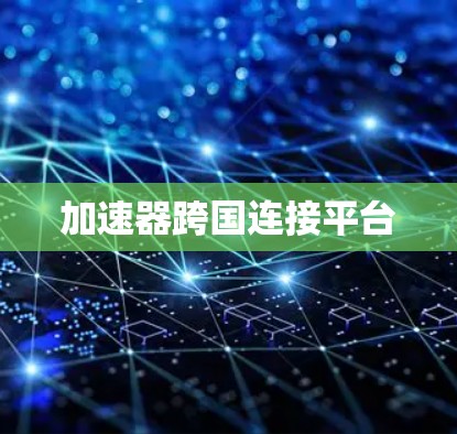 加速器跨国连接平台